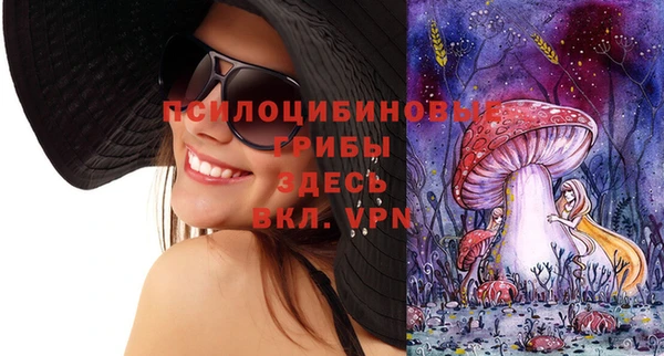 спайс Богородицк