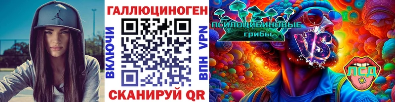 Купить  Балашов  Галлюциногенные грибы Psilocybine cubensis 