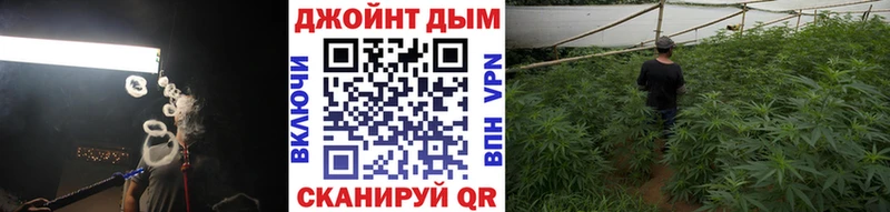 Шишки марихуана сатива  Купить  Балашов 
